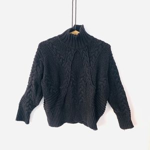 Zara Chunky Knit Turtle Neck